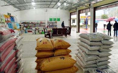 深耕縣域，掘金農(nóng)資 化肥農(nóng)藥種子縣級(jí)代理經(jīng)銷商的機(jī)遇與挑戰(zhàn)分析